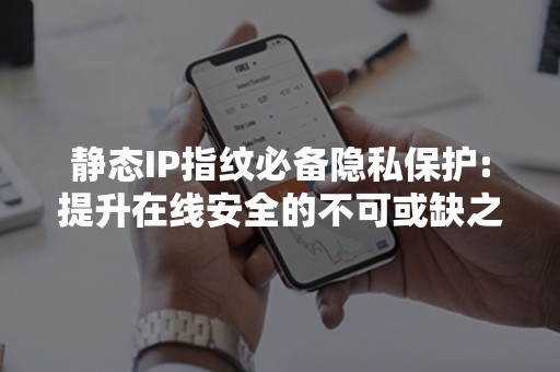 静态IP指纹必备隐私保护:提升在线安全的不可或缺之选