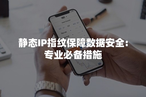 静态IP指纹保障数据安全:专业必备措施