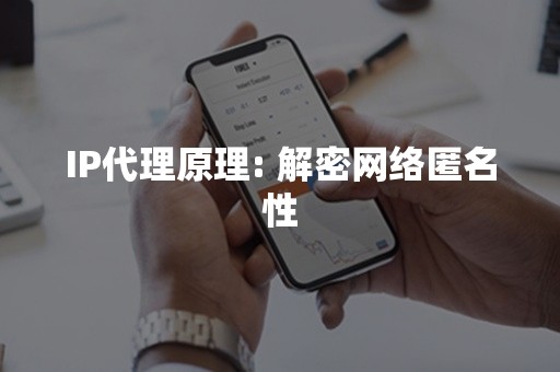 IP代理原理: 解密网络匿名性