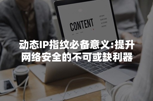 动态IP指纹必备意义:提升网络安全的不可或缺利器