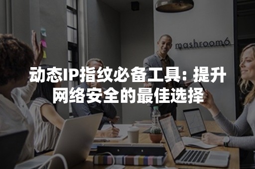 动态IP指纹必备工具: 提升网络安全的最佳选择