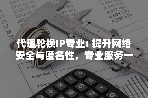 代理轮换IP专业: 提升网络安全与匿名性，专业服务一站到位