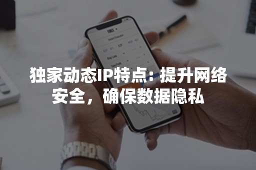 独家动态IP特点: 提升网络安全，确保数据隐私