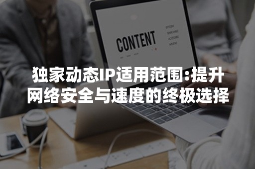 独家动态IP适用范围:提升网络安全与速度的终极选择