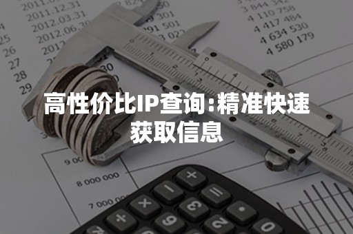 高性价比IP查询:精准快速获取信息