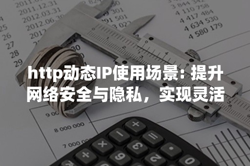 http动态IP使用场景: 提升网络安全与隐私，实现灵活而高效的网络访问