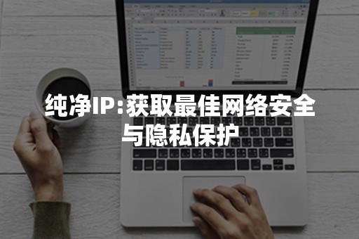 纯净IP:获取最佳网络安全与隐私保护