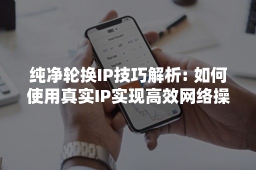 纯净轮换IP技巧解析: 如何使用真实IP实现高效网络操作