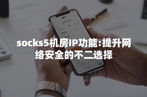 socks5机房IP功能:提升网络安全的不二选择