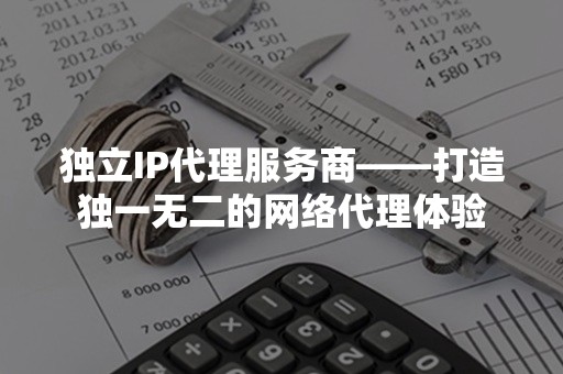 独立IP代理服务商——打造独一无二的网络代理体验