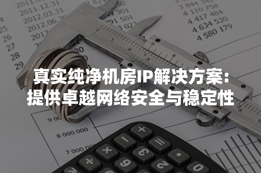 真实纯净机房IP解决方案:提供卓越网络安全与稳定性