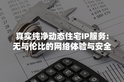 真实纯净动态住宅IP服务:无与伦比的网络体验与安全保障