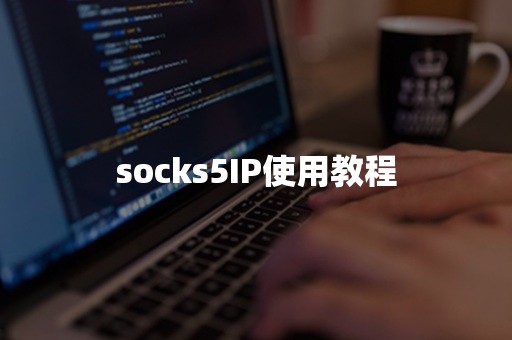 socks5IP使用教程