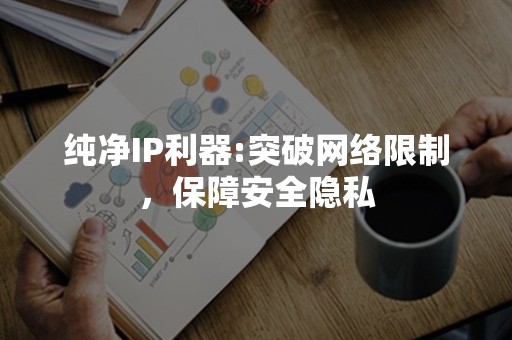 纯净IP利器:突破网络限制，保障安全隐私