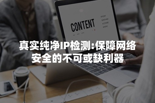 真实纯净IP检测:保障网络安全的不可或缺利器