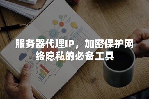 服务器代理IP，加密保护网络隐私的必备工具