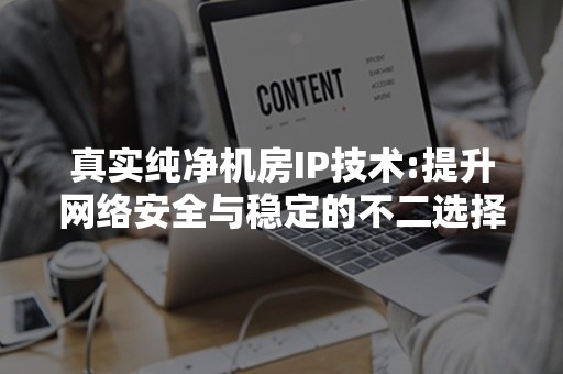 真实纯净机房IP技术:提升网络安全与稳定的不二选择