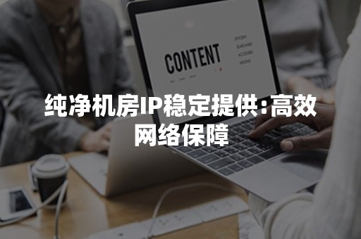 纯净机房IP稳定提供:高效网络保障