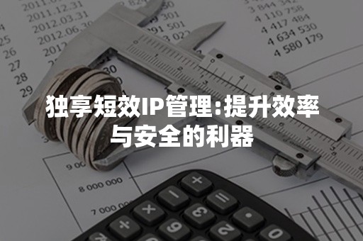 独享短效IP管理:提升效率与安全的利器