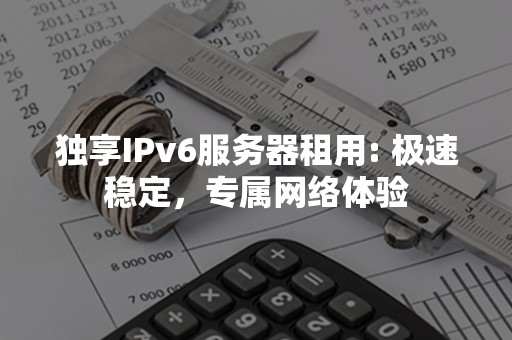 独享IPv6服务器租用: 极速稳定，专属网络体验