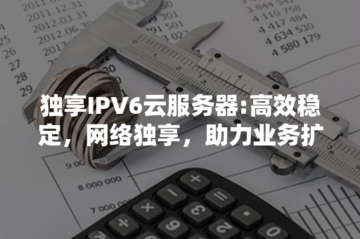 独享IPV6云服务器:高效稳定，网络独享，助力业务扩展