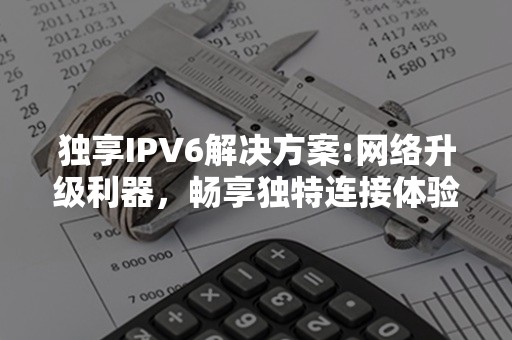 独享IPV6解决方案:网络升级利器，畅享独特连接体验