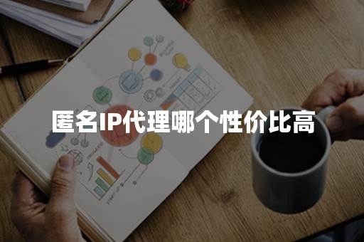 匿名IP代理哪个性价比高