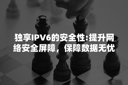 独享IPV6的安全性:提升网络安全屏障，保障数据无忧