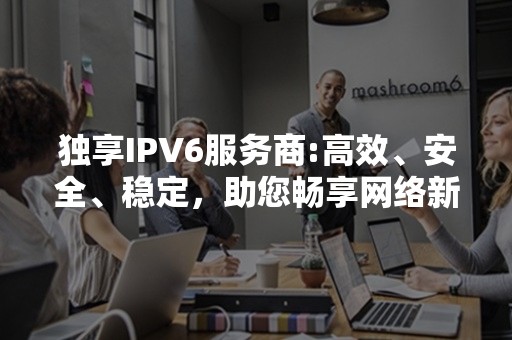 独享IPV6服务商:高效、安全、稳定，助您畅享网络新体验