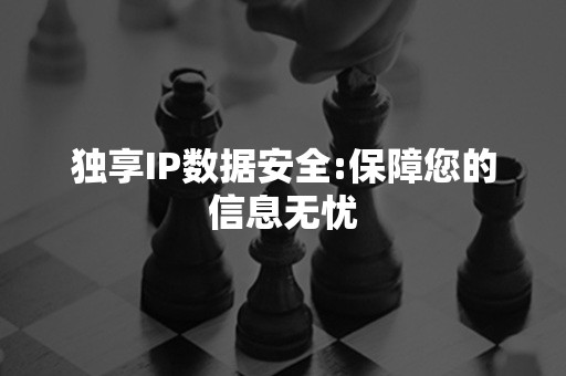 独享IP数据安全:保障您的信息无忧