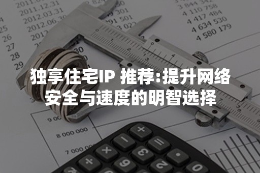 独享住宅IP 推荐:提升网络安全与速度的明智选择