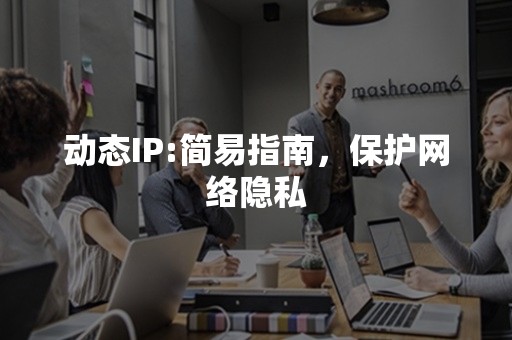 动态IP:简易指南，保护网络隐私