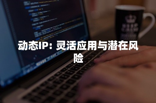 动态IP: 灵活应用与潜在风险