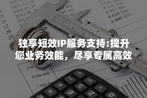 独享短效IP服务支持:提升您业务效能，尽享专属高效服务