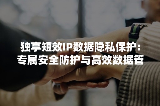 独享短效IP数据隐私保护:专属安全防护与高效数据管理