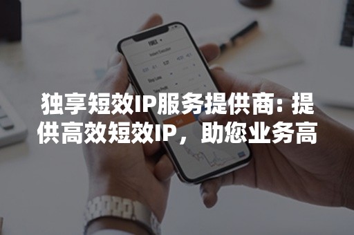 独享短效IP服务提供商: 提供高效短效IP，助您业务高速发展