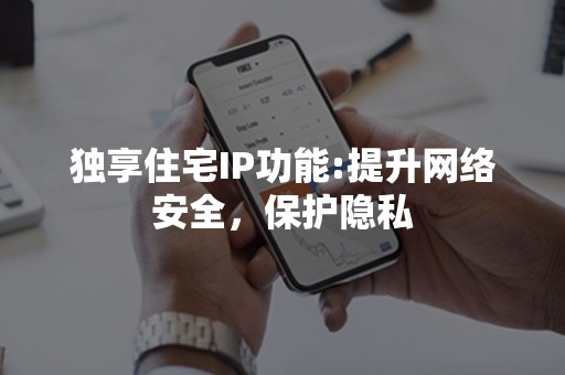 独享住宅IP功能:提升网络安全，保护隐私