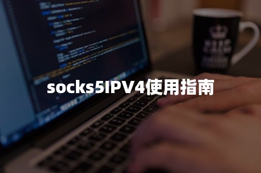 socks5IPV4使用指南