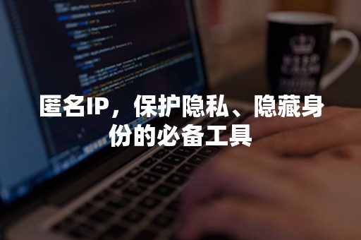 匿名IP，保护隐私、隐藏身份的必备工具