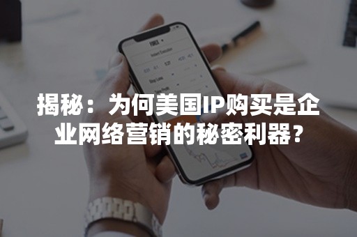 揭秘：为何美国IP购买是企业网络营销的秘密利器？