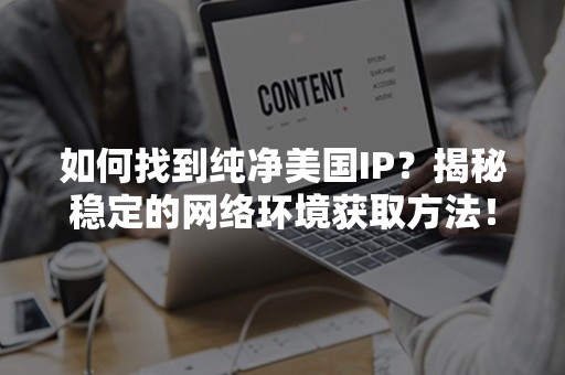 如何找到纯净美国IP？揭秘稳定的网络环境获取方法！