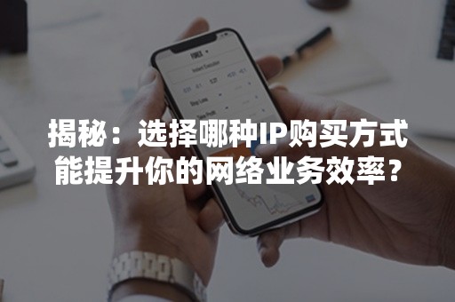 揭秘：选择哪种IP购买方式能提升你的网络业务效率？