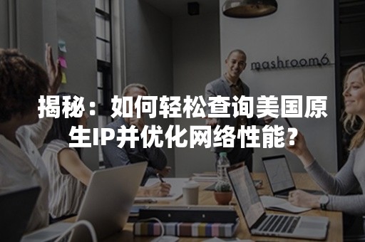 揭秘：如何轻松查询美国原生IP并优化网络性能？