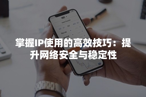 掌握IP使用的高效技巧：提升网络安全与稳定性