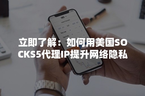 立即了解：如何用美国SOCKS5代理IP提升网络隐私与效率