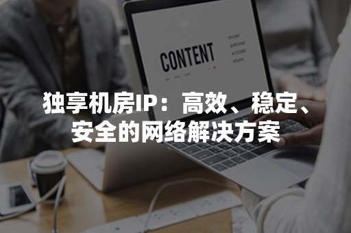 独享机房IP：高效、稳定、安全的网络解决方案