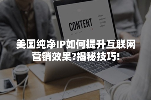 美国纯净IP如何提升互联网营销效果?揭秘技巧!