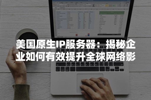 美国原生IP服务器：揭秘企业如何有效提升全球网络影响力