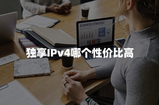 独享IPv4哪个性价比高