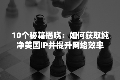 10个秘籍揭晓：如何获取纯净美国IP并提升网络效率